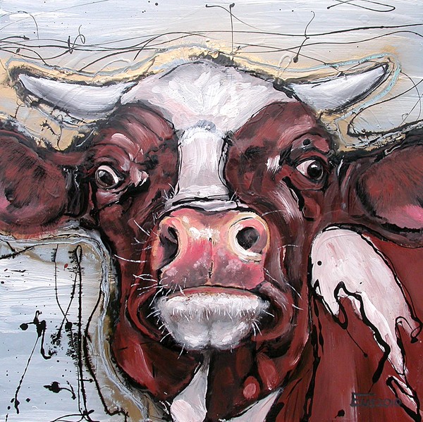 Stupid Cow