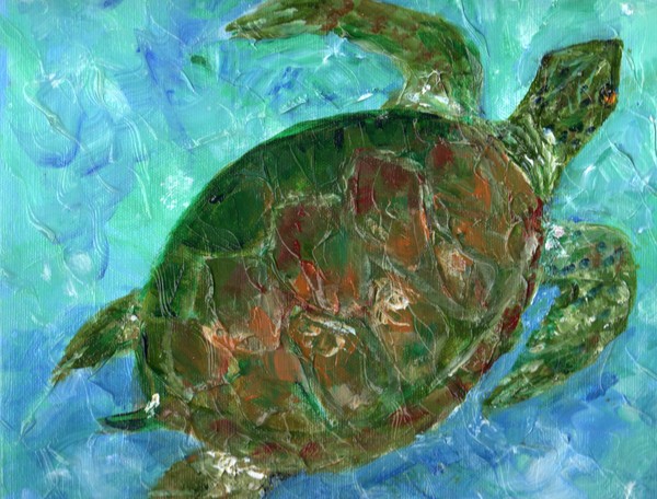 Tybee Sea Turtle