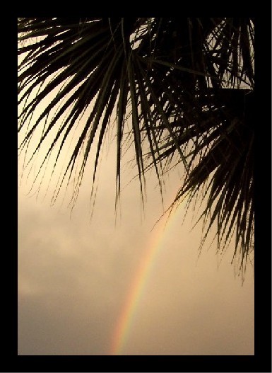 God's Promise