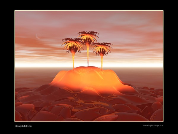 Strange Glowing Life Forms