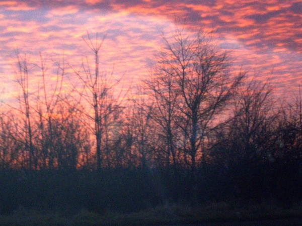 Scarlet Sky