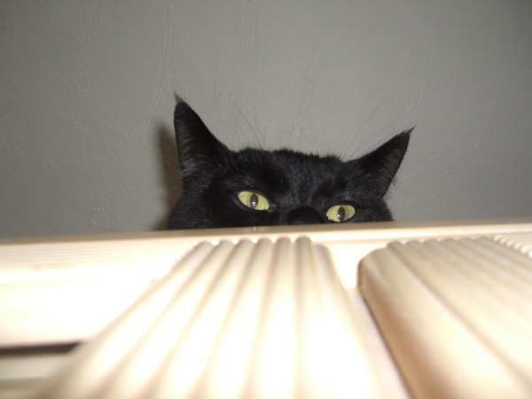 I see you!