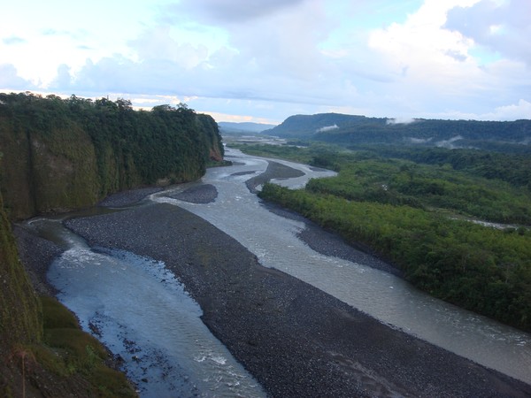 Agua, selva y cielo
