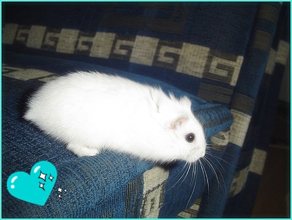 Mr.Chrupek :)