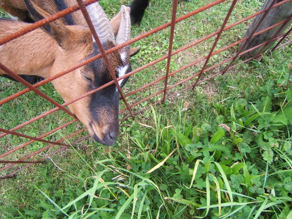 The grass is always greener...