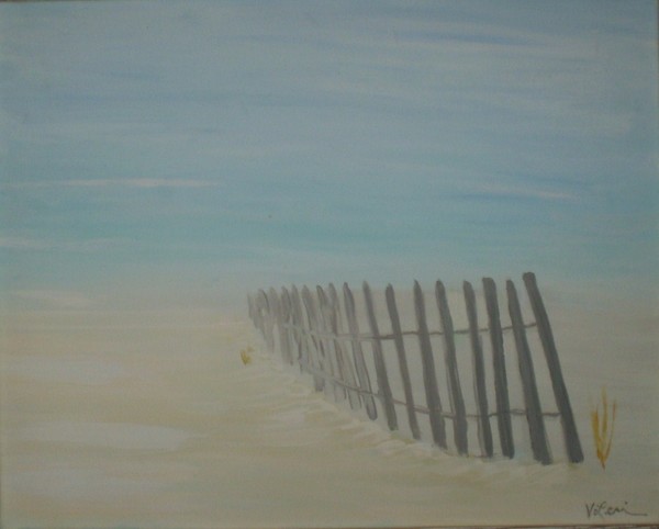 Beach Fence