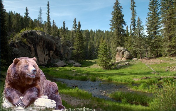1121-Bear Country Creek