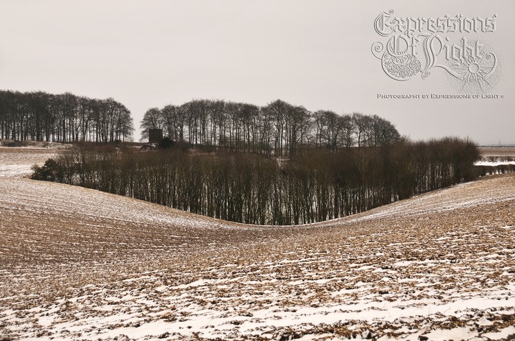 ExpoLight-The-Lincolnshire-Wolds-Winter-18-03-2018-0037 (SP)