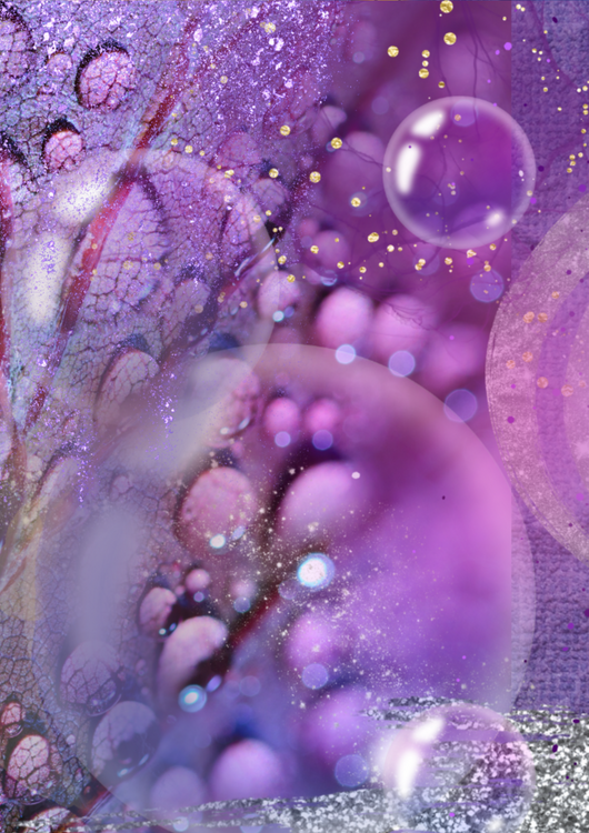 Winter Mist