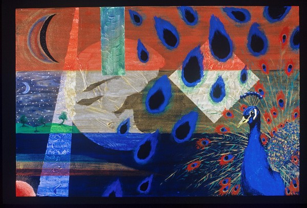 Peacock Abstract