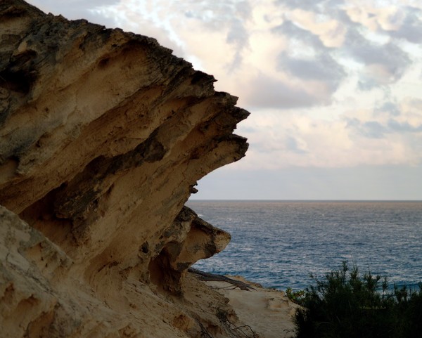 Nature's Sculptures VIII