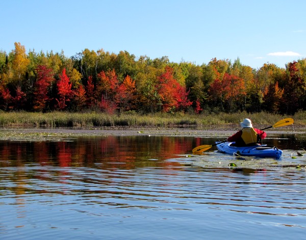 Autumn exploration!