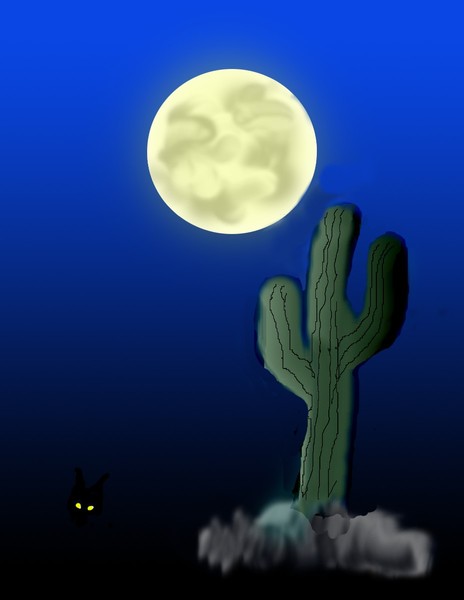 nocternal bliss