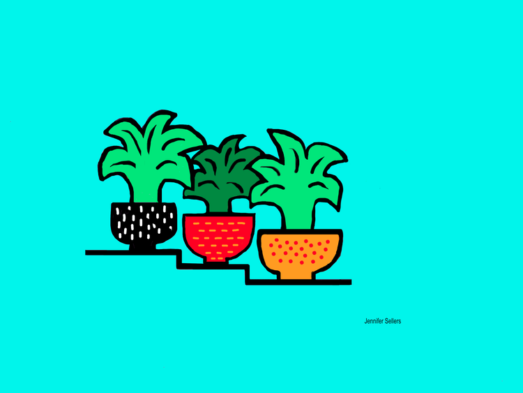 Potted Plants