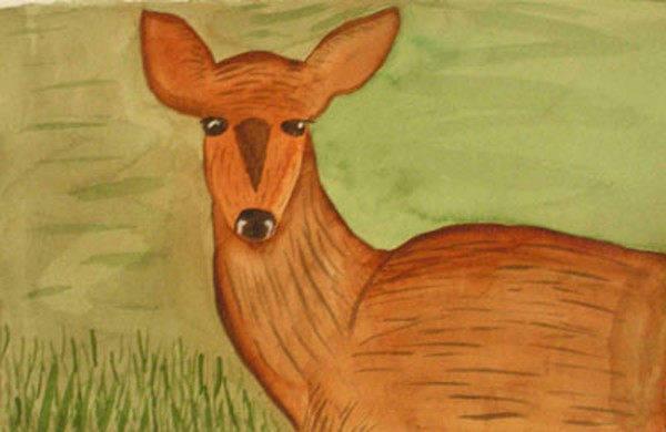 Deer in the Grass