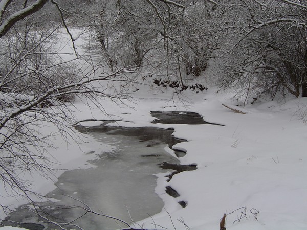 Winter Brook