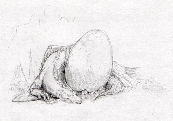 dragon and egg