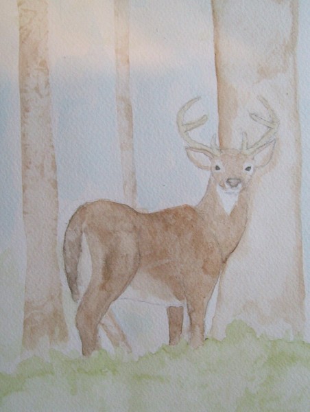 king of the forest