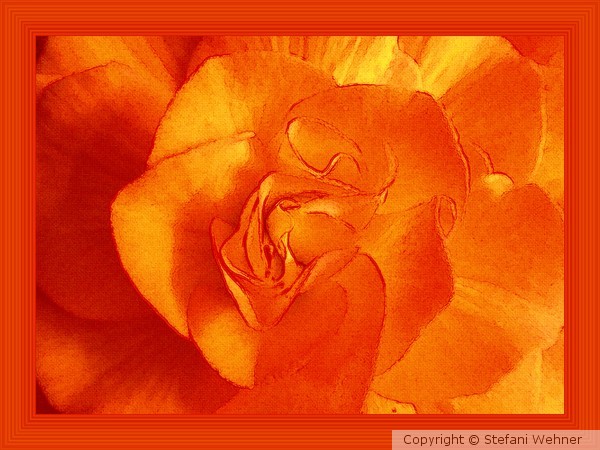 orange