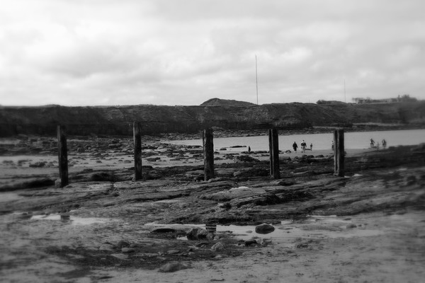 The Coaly Tide