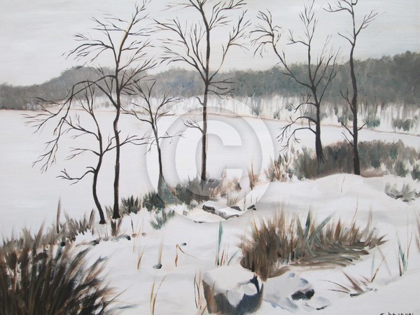 Frozen Lake