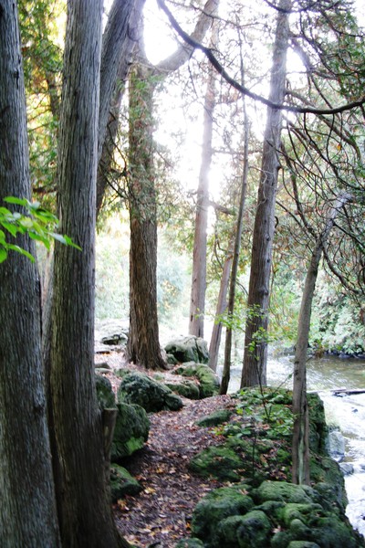 Morning along the Eramosa River