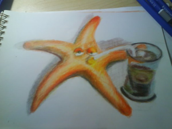 starfish   
