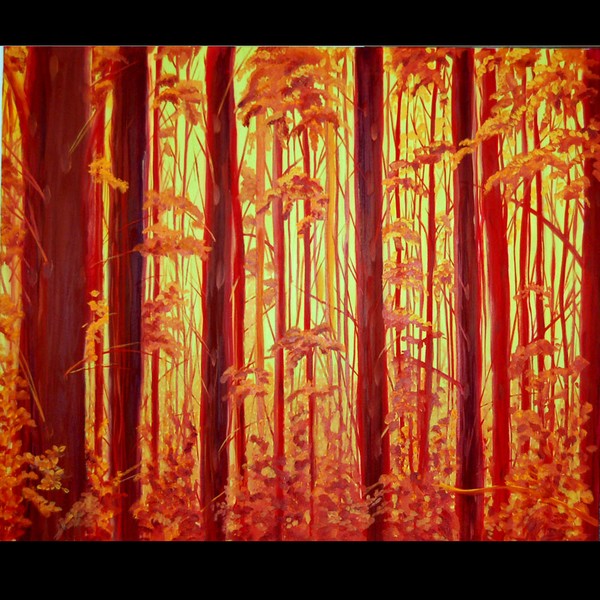 the woods