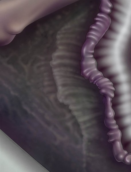 7th detail: no title yet