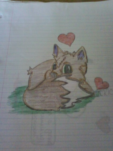 baby fox