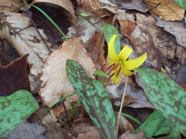 Spring is in the air