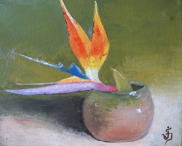 Bird of Paradise