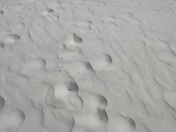 Waves in the sand