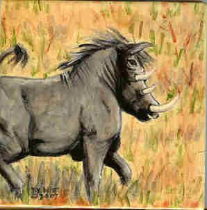 Warthog