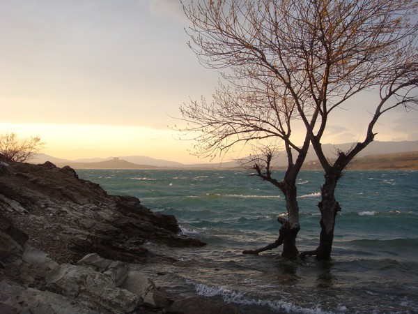 tbilisi sea
