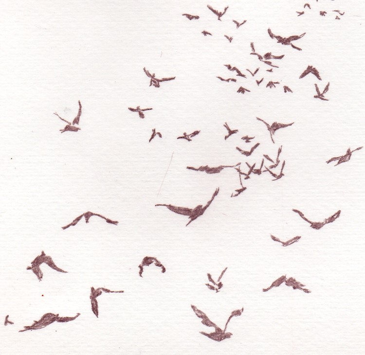 Flight 11
