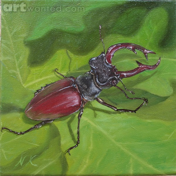Beetle - deer
