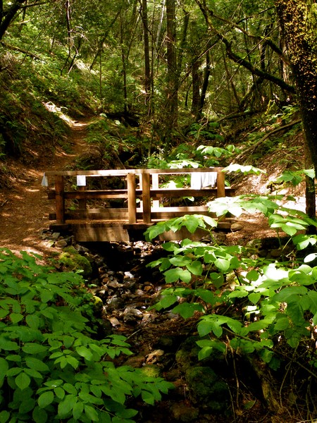 Fairytale bridge