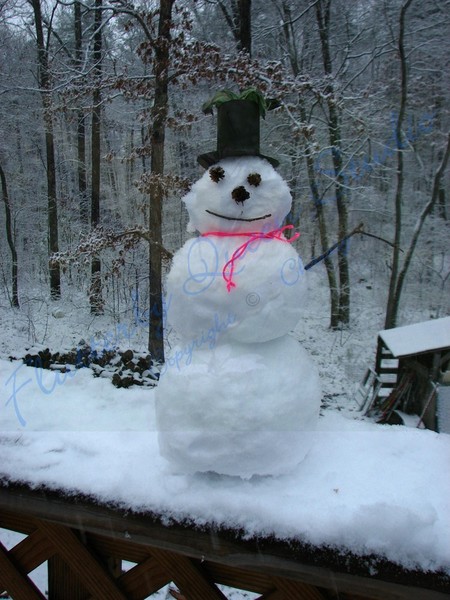 STYLIN' SNOWMAN MINI