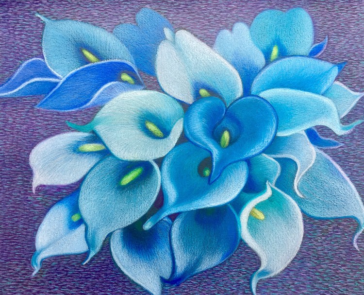 CALA LILIES