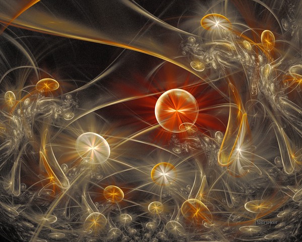 When Mushrooms Dream