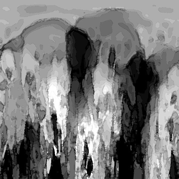 Rage of the Elephants