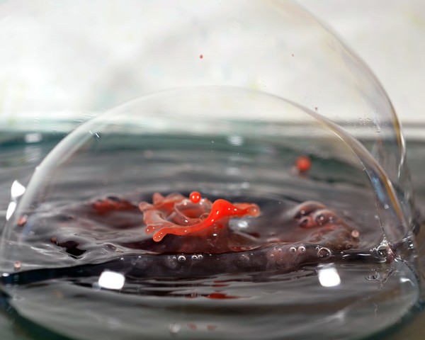 Red Splash in Bubble 1