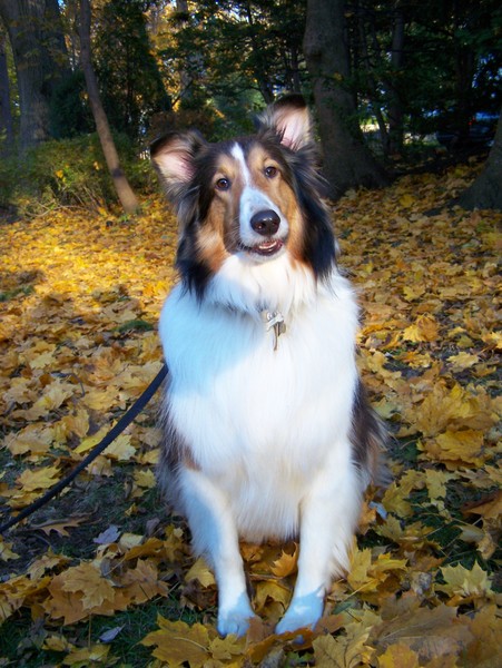 Leo