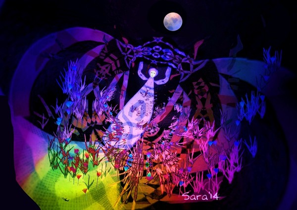 NightBlooms