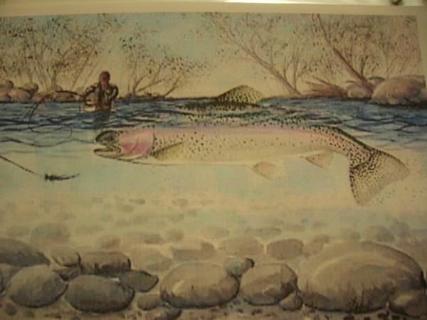 Mad River Rainbow