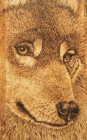  Timber Wolf