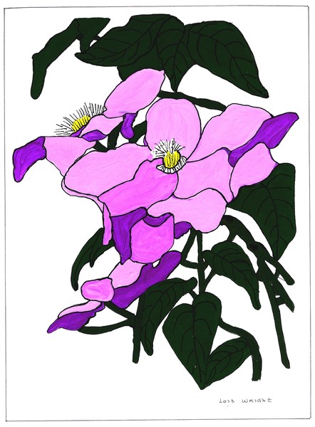 flowers painting