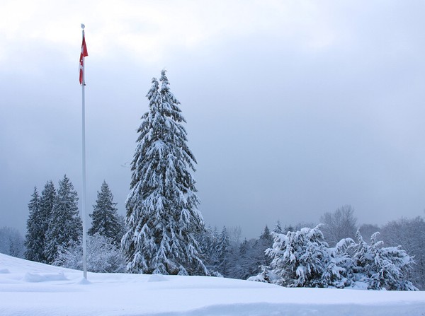 White Vancouver