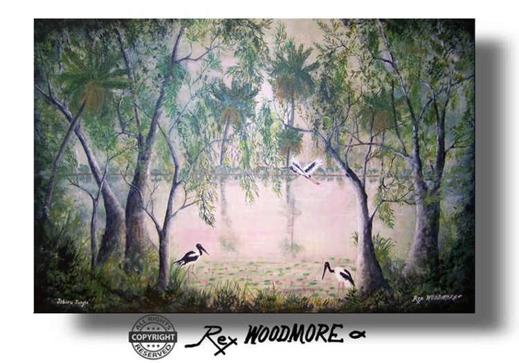 SOLD Jabiru Jungle 